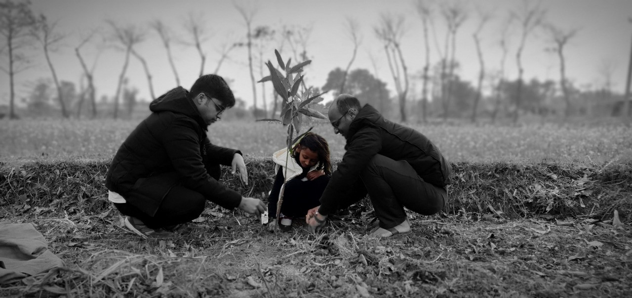 Plantation in Hathiaul, Balara Municipality Sarlahi